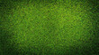 © CHRISTIANA - Vivid Green Grass Texture Captured from Above