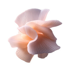 Wall Mural - floral organic ribbed 3d shape. distorted pale pink peachy organic sculpture isolated. ai generated