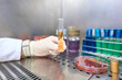 © ADDICTIVE STOCK - Hygienic-Sanitary Food and Water Analysis in Laboratory Setting