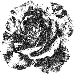 Rose flower with halftone stipple effect, for grunge punk y2k collage design. Vector illustration in grainy photocopy texture for experimental dotted retro banner design	