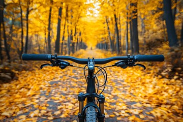 Canvas Print - Biking through a vibrant autumn forest filled with golden leaves