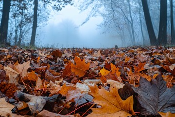 Canvas Print - Autumn leaves cover a tranquil path in a foggy forest