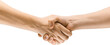 © master1305 - Close-up of two hands engaged in firm handshake isolated on transparent background. Agreement, partnership, support, and mutual understanding. Concept of visual communication, signs