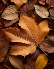 Canvas Print - Autumn leaves in warm, earthy tones. A beautiful display of nature's artistry.