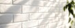 © Alpa - Close-up detail of white brick wall texture with sunlight shadow