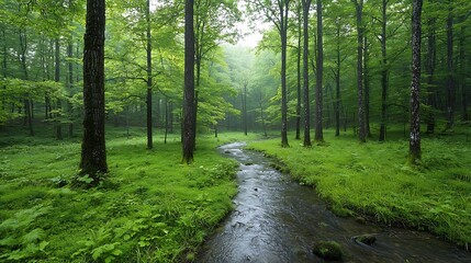 Poster - Lush verdant forest landscape filled with a diverse array of thriving plant species and majestic towering trees showcasing the depth and richness of the natural ecosystem
