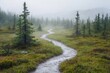© Prism Trail - Misty Forest Path Winding Through Green Bogland