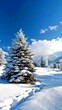 © Chaithat - Winter Wonderland Snowy Landscape with Frosty Pines Nature Retreat Scenic View Christmas Vibes Tranquil Environment