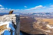 © Thanyarat - An American eagle standing on a snowy mountaintop, overlooking a vast valley below