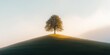 © Kamonwan - A solitary tree stands on a green hill under a soft, glowing sky at sunset.