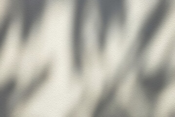 Wall Mural - leaves shadow on white stucco wall background.