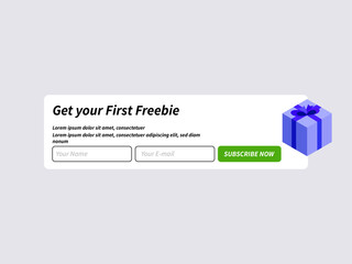 newsletter subscriptions program with free offer templates
