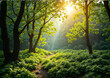 © Nadiya - Sunlight filtering through trees in a serene forest, creating a tranquil and magical atmosphere