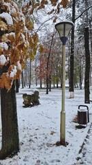 Wall Mural - Snowy park with trees and a lamp post. The snow-covered leaves and ground create a serene wintry scene, highlighting the transition from autumn to winter