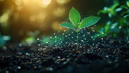 Leinwandbilder - A Young Sprout Growing Through a Network of Interconnected White Nodes