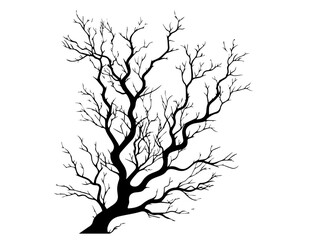 Wall Mural - set of tree silhouettes with branches in black vector 
