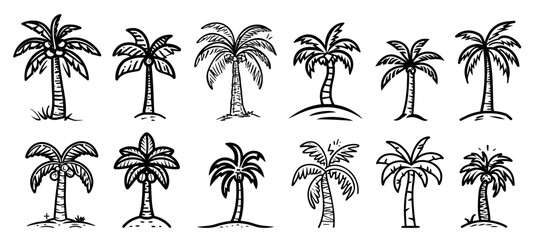 Wall Mural - hand-drawn tropical palm tree illustrations