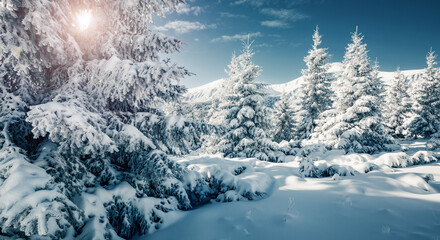 Aufkleber - Magical shiny c coniferous trees covered with fluffy snow on a frosty day. Merry Christmas and happy new year greeting card.