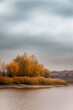 © Kykes_ - the shore of a lake with orange grass, on which grow kuty and a large tree with orange foliage, against the background of a stormy blue sky