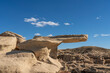 © Danita Delimont - USA, New Mexico, Bisti/De-Na-Zin Wilderness. Mudstone protruding formation in badlands.
