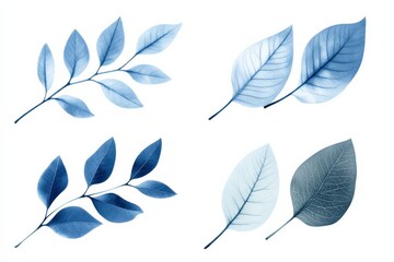 various blue leaves arranged in a creative layout for nature and design concepts