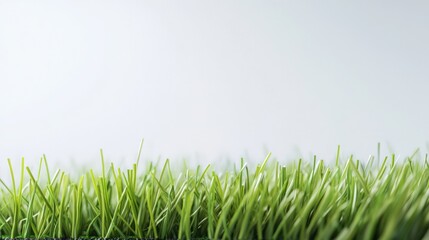 Wall Mural - fresh green grass with a soft focus background