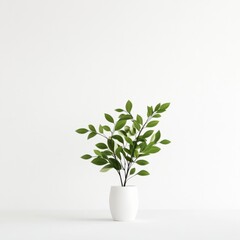 Wall Mural - minimalist indoor plant in a modern pot for home decor