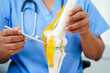 © manassanant - Asian doctor holding spinal nerve and bone model, Lumbar spine displaced herniated disc fragment for treatment medical in the orthopedic department.