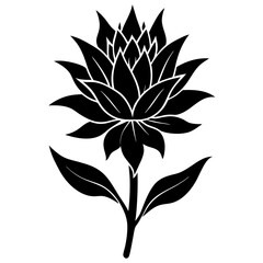 Wall Mural - black and white flower