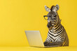 © StokHunt - A zebra with glasses is working on a laptop on a bright yellow background