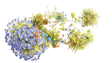 Wall Mural - top view group of evergreen colorful flowers and grass field in nature with isolated on transparent 