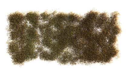 Wall Mural - top view of 3d render various types of flowers, grass, bushes, shrub, stone, and small plants on tra