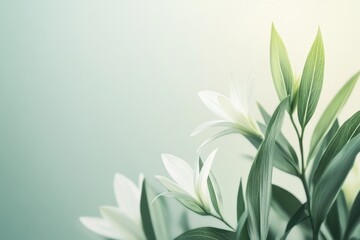 Wall Mural - a serene arrangement of white flowers and green leaves against a soft gradient background.