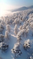 Sticker - Winter landscape showcasing frosted pine trees in a serene forest