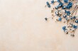 © olegganko - Blue flowers and white blossoms arranged on a beige background for a simple decor