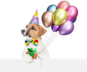Aufkleber - Cute jack russell terrier puppy wearing party cap and tie bow  holding balloons above blank white banner and looking at camera. isolated on white background
