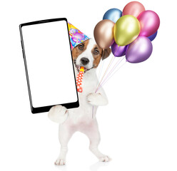 Aufkleber - Happy jack russell terrier puppy wearing party cap, blowing in party horn, holding balloons and  big smartphone with white blank screen in it paw. isolated on white background