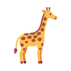 giraffe isolated on white