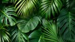© Vikarest - A dense arrangement of various green leaves creating a lush, tropical backdrop.