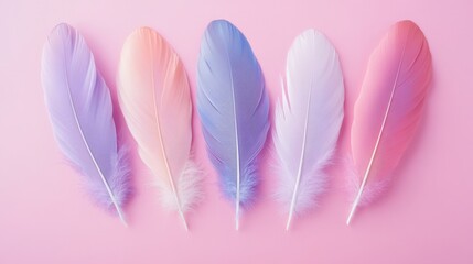 Canvas Print - Delicate Pastel Feathers on Pink Background