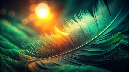 Sticker - Captivating Long Exposure of Vintage Dark Green Feather Texture with Orange Light Flare for Contemporary Design and Home Decor