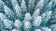© NooPaew - Aerial view of a snow-covered forest, capturing the intricate patterns of frosted treetops