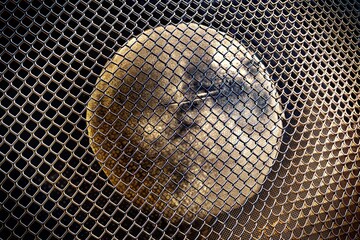 Canvas Print - metallic mesh surface with moon texture inspiration