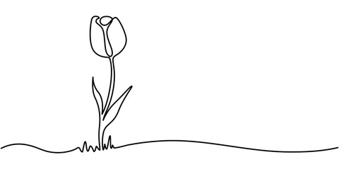 Fototapete - Tulip Continuous Line Icon, Flower drawing mono line. Continuous line icon on white background. A simple, black and white drawing of a tulip. It's a continuous line, making it look elegant and modern.