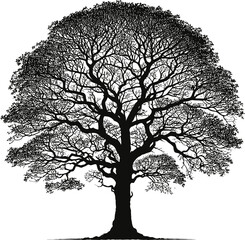 Tree silhouette vector icon isolated on a white background