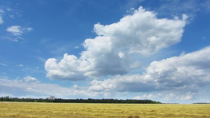 Wall Mural - Clouds in sky moving over yellow field, timelapse 4k