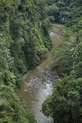 Wall Mural - Top view of a dirty mountain river flowing in the jungle.