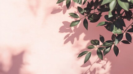 Wall Mural - Green Leaves Cast Shadows On Pink Wall