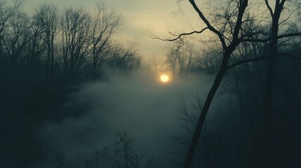 Wall Mural - misty sunrise over a tranquil forest.