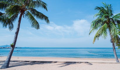 Wall Mural - palm tree on the beach in thailand.travel summer concept.